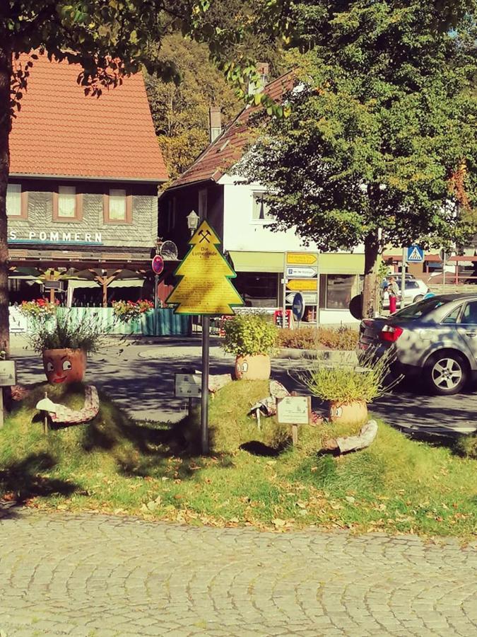 Crisand 2 Bergen Altenau  Esterno foto